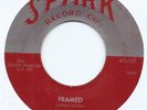 DOO WOP / R&B 45 - ROBINS 