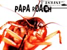 Papa Roach - Infest (Vinyl LP - 2017 - Reissue)