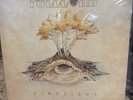 Full Cord Bluegrass Hindsight LP Fullcord Vinyl VG+/M-