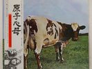 PINK FLOYD ATOM HEART MOTHER EMI EMS80320 Japan VINYL LP