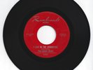 Rare Garage Psych 45The Lemon Drops 