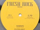 Dancehall Roots Reggae  ECCLETON JARRETT RAINDROPS  US Fresh Rock 12