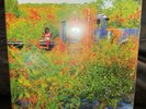 Jhene Aiko Trip Vinyl urban outfiturban outfitters exclusive