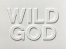 Nick Cave & The Bad Seeds - Wild God (LP) (Mint (M)) - 3306159567