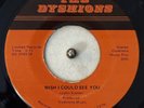 The Dyshions 45 - I Wish I Could See You - Locked - VG+