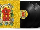 Various Artists - Look at All the Love We Found (Vinyl LP) [PRE-ORDER]