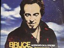 Bruce Springsteen - Working On A Dream Vinyl 2LP