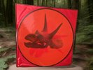 The Devil Put Dinosaurs Here Alice in Chains Record, 2013 Ltd. Ed. Picture M/M