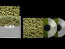 RARE   DR. DRE 2001 25TH ANNIVERSARY EDITION 2LP VINYL Ziplock Bag Chronic Green