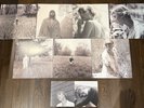 Taylor Swift Limited Edition folklore All Variants Vinyl and Cd‘s