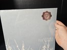 The Shins 