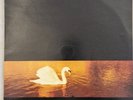 VAN MORRISON Avalon Sunset LP, Polydor 83926-1, 1989 Australia, Pristine