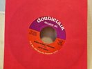 John Riggs – Mishawaka, Indiana - 1970 Doubletalk Records Obscure 7