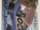 JOAN JETT- Flashback 2LP Record Store Day 2015  Blue Vinyl Mint M/M RARE