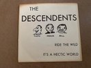The Descendents -Ride the Wild-It's A Hectic World 7