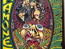 The Ramones, Acid Eaters, LP, 1993 UK,