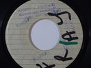 Reggae 45 JAMAICANS Don't Believe Her/Feel It Festive Spirit VG++ blank