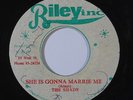 Reggae 45 THE SHADE/SHADES She Is Gonna Marrie/Marry Me on Riley Inc VG++