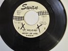 Mickey Lee Lane *PROMO* 45 HEY SAH-LO-NEY OF YESTERDAY Northern Soul R&B Garage