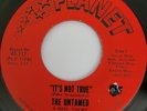 45 THE UNTAMED Its Not True THE WHO Cover Planet 117 MOD Garage Freakbeat VG++