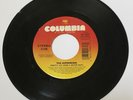 The Offspring “ Pretty Fly ( For a White Guy ) / ( Geek Mix ) “ 45 Vinyl Record