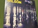 No Pier Pressure by Brian Wilson (Record, 2015) New - Sealed