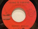 Soul Funk 45 HARVEY SCALES Trying To Survive MAGIC TOUCH listen