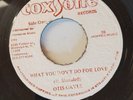 OTIS GAYLE |  WHAT YOU WON’T DO FOR LOVE | STUDIO ONE | 7”INCH | VINTAGE VINYL