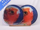 Vince Staples Big Fish Theory Limited Edition Double LP Vinyl Record - NM