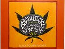 Brant Bjork And The Low Desert Punk Band Black Power Flower Vinyl LP FOC
