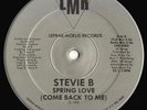 Stevie B Spring Love (Come Back To Me) Vinyl Single 12inch LMR (Lefrak-Moelis