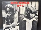 Big Star Third PVC Vinyl Record LP