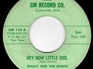 WALLY AND THE RIGHTS - HEY NOW LITTLE GIRL/ZIPPER - CRUDE TEXAS GARAGE 45 - HEAR