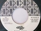 Clear Light PROMO ELEKTRA Psych 45 Black Roses and She's Ready To Be Free