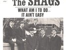 THE SHAGS--GARAGE ROCK PICTURE SLEEVE ONLY--(WHAT AM I TO DO)--PS--PIC--SLV