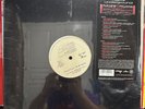 DIGITAL UNDERGROUND - FUTURE RHYTHM (VINYL LP)  1996  RARE  LUNIZ + DEL + SAAFIR