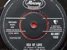 Phil Phillips With The Twilights - Sea Of Love (7