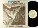 Dawan Muhammad - Deep Stream LP - Evidence - Private Spiritual Jazz OG Press VG+