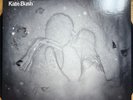 Kate Bush -  50 Words For Snow | 2LP | 2018 CA Reissue | Anti- 87186-1 | VG+