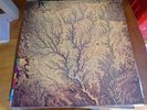 Passion Sources Various Artists 1989 World Music LP Peter Gabriel
