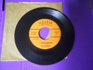 THE PERFORMERS-I'LL MAKE YOU UNDERSTAND-DOO WOP-ROCK 45 ON ALLSTAR-1ST PRESS