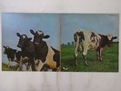 Pink Floyd Atom Heart Mother Harvest EMS-80320 Japan  VINYL LP