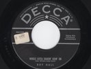 TwinSpin Rockers ROY HALL Whole Lotta Shakin' Goin' On/All By Myself VG++ HEAR