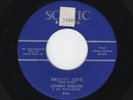 TENN. Rocker JOHNNY SHELTON Groovy Joe's/Alone In the Crowd SCENIC M- HEAR