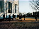 Cowboy Junkies The Caution Horses (Vinyl) 12