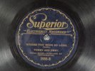 78 RPM James Cole & Tommy Bradley, Superior 2555 Where You Been So Long V+ Blues