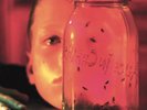 Alice In Chains - Jar Of Flies Vinyl New