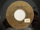 RARE Doo Wop 45 - Tony & The Raindrops 