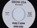 Eboni Band / Shake It Down / Get Together US 7in Eboni USA Records 501/502 ASP