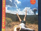 Geese - 3D Country [Clear Vinyl] NEW Sealed LP Album MINT